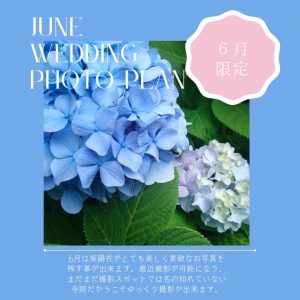 前撮り〜6月紫陽花・智積院〜のアイキャッチ
